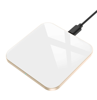 cosas que necesitas 7 cargador